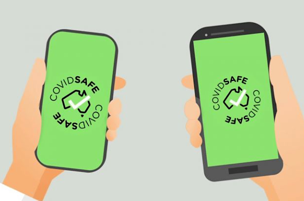 Two hands holding mobile phones with the COVIDSafe app