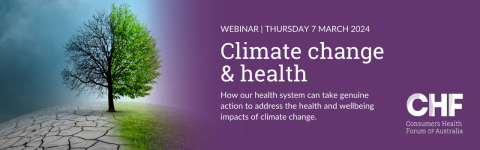 Webinar: climate change and health 